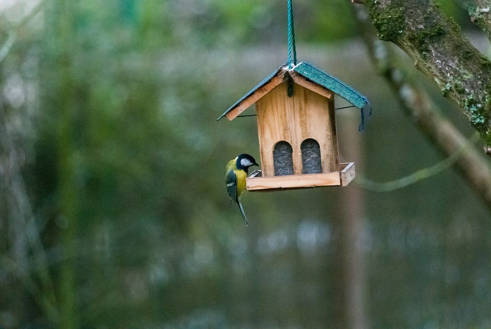 Faire un nichoir à oiseau en bois soi-même