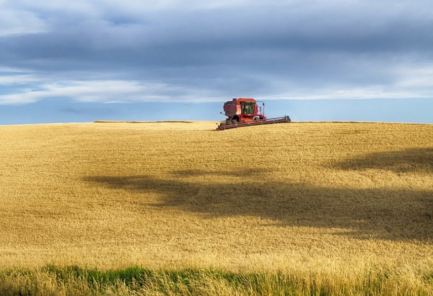 Ce que vous devez savoir sur les broyeurs agricoles